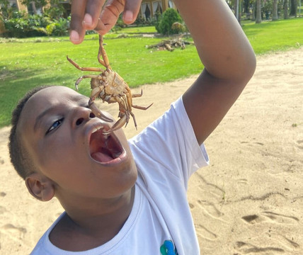 Pineapple Bay Resort主图