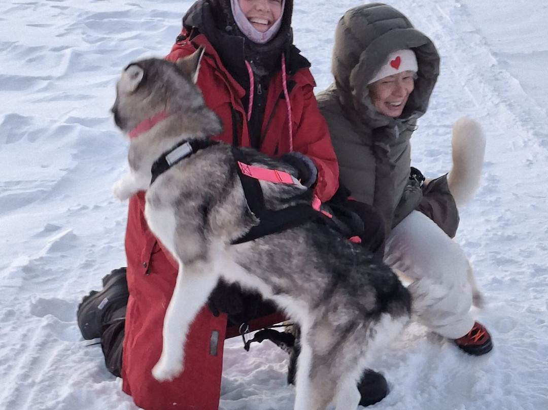 La Reine et le Millionnaire-Baie-St-Paul必去景点
