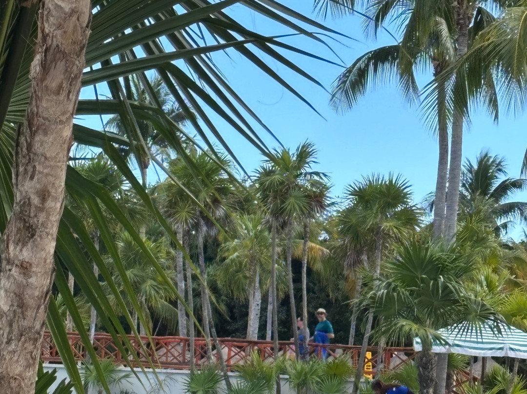 Bahia Principe Escape Tequila