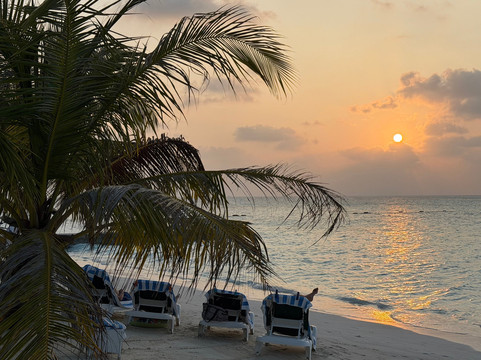 Euro-Divers Meeru-蜜月岛必去景点