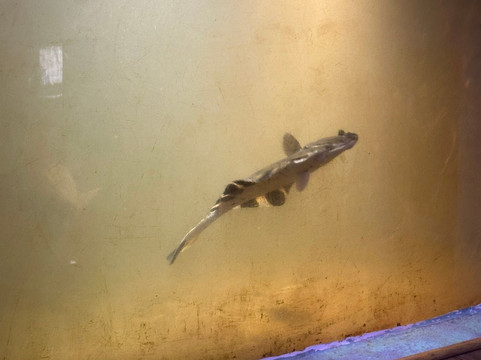 Westport Aquarium-Westport必去景点