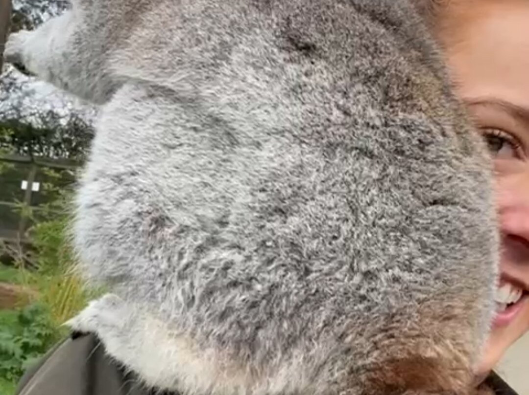 Call Of The Wild Zoo-South Woodham Ferrers必去景点