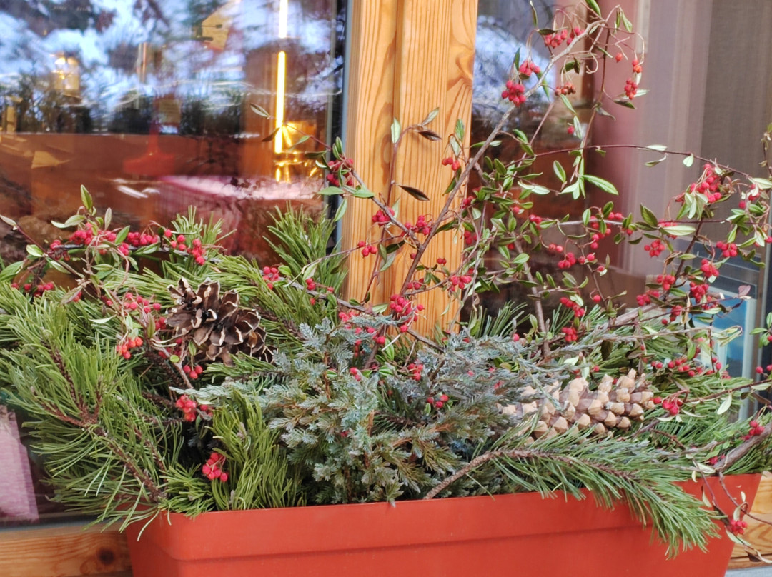 Albergo Al Sole主图