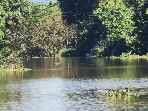 Kokopelli Wildlife Tours-Sierpe必去景点