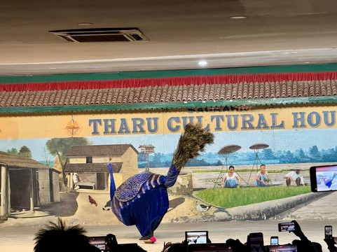 Tharu Culture Programme-苏拉哈必去景点