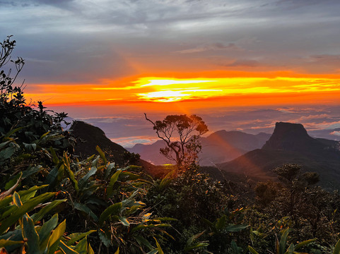 Ceylon Soul-加勒必去景点