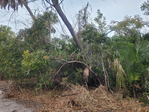 De Soto National Memorial-布雷登顿必去景点