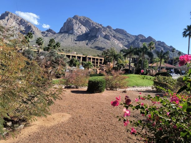 图斯肯征服者希尔顿度假村-酒店景观