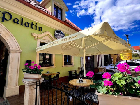 Bzince pod Javorinou酒店住宿-Palatin