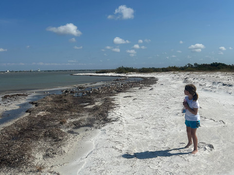 Captain Clearwater-Belleair Bluffs必去景点