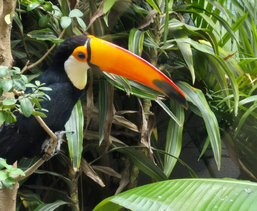 国家鸟类公园-匹兹堡必去景点