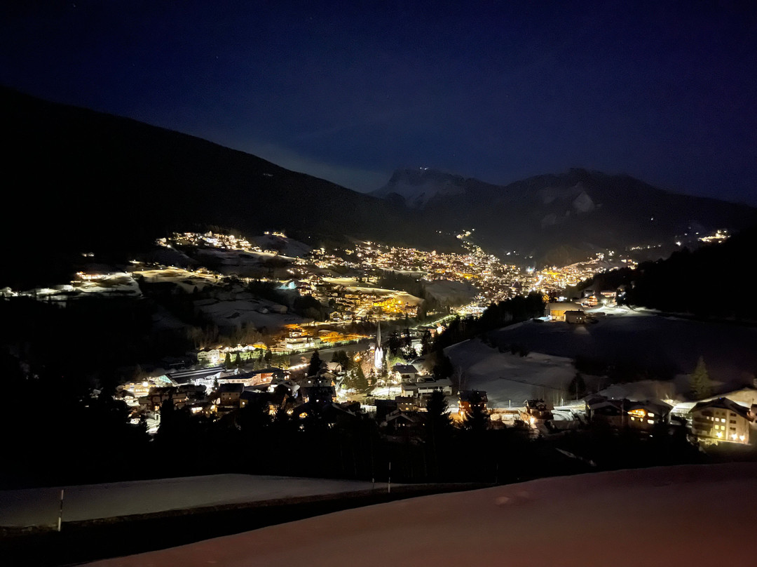 Hotel Niblea Dolomites主图