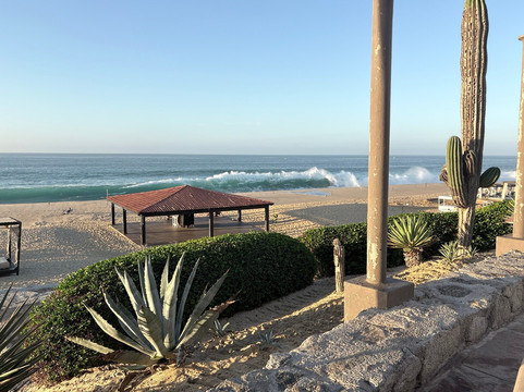 Cabo Lindo Transport-卡波圣卢卡斯必去景点