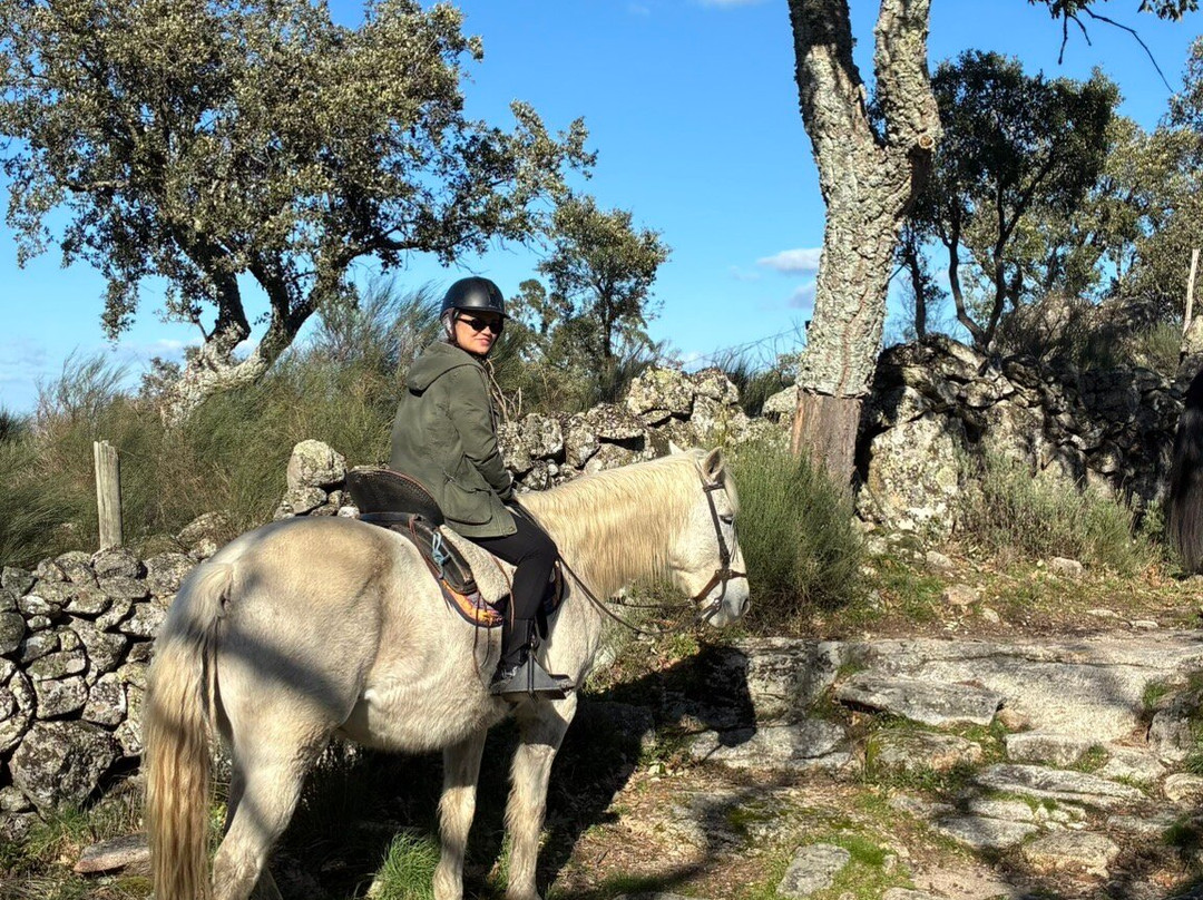 Caballos de Marvão-Santo Antonio Das Areias必去景点