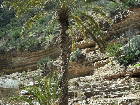 Paradise Valley-阿加迪尔必去景点