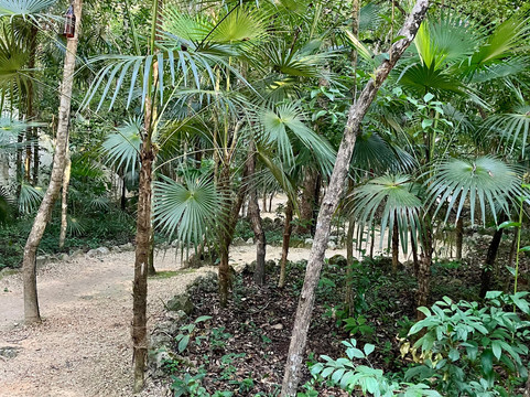 荷里斯提卡酒店主图