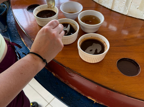 Diriá Coffee Tour-Hojancha必去景点