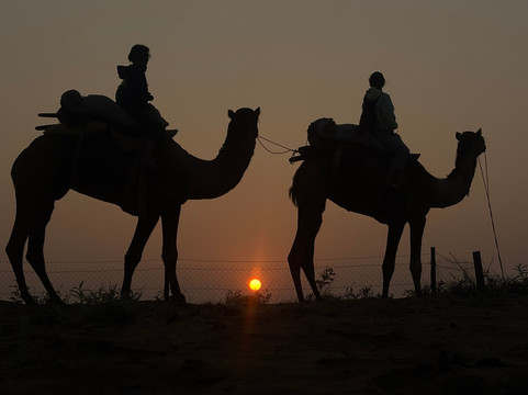 Osian Desert Safari & Overnight Camping