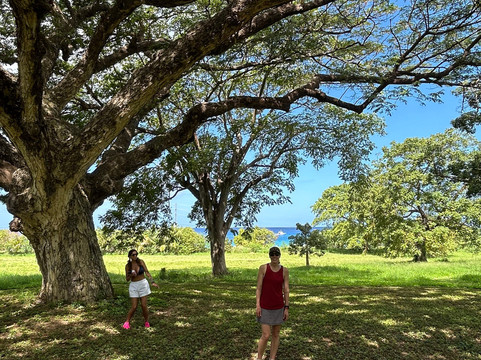 Island Life Adventures-Frederiksted必去景点