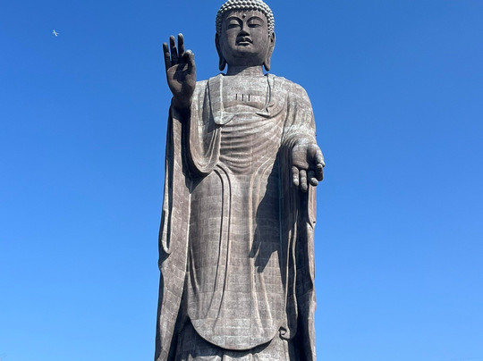 Ushiku Daibutsu-牛久市必去景点