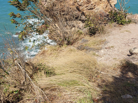 Morgan's Head-Providencia Island必去景点