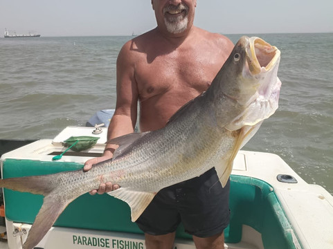 Paradise Fishing Gambia-班竹必去景点