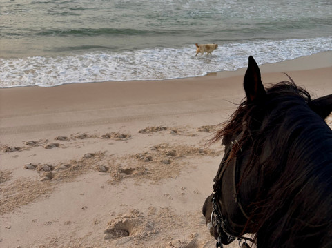 Ranch Des Dunes-达赫拉必去景点