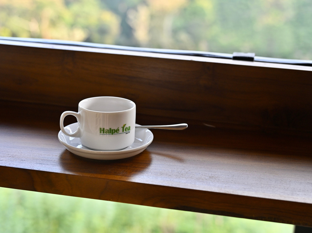 98英亩度假村主图