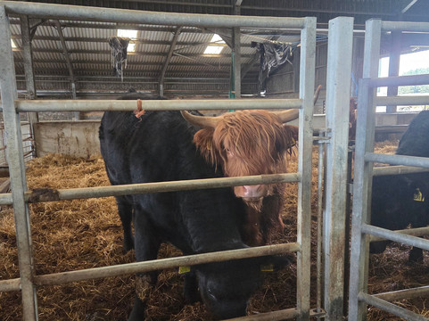 Newton Farm Holidays & Tours主图