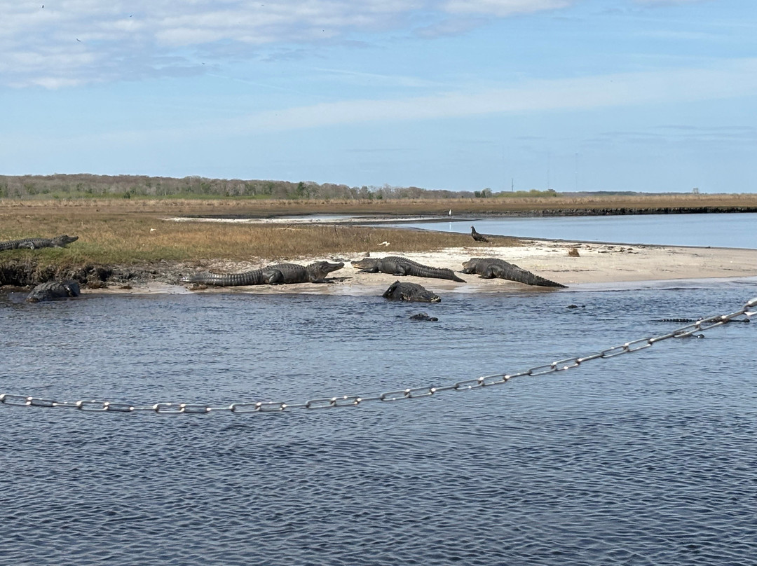 AirBoat Rides at Midway-Christmas必去景点