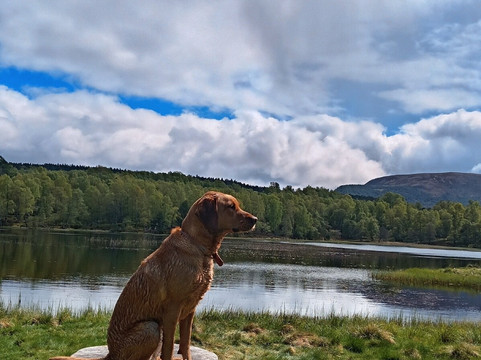 Loch Morlich-阿维莫尔必去景点