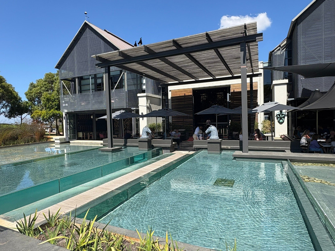 Steenberg Vineyards-康士坦提亚必去景点