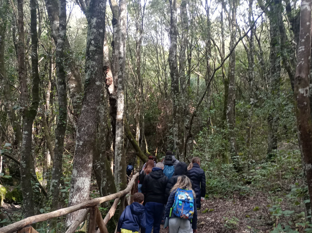 Associazione Culturale De Lacòn - Visite Guidate-Laconi必去景点