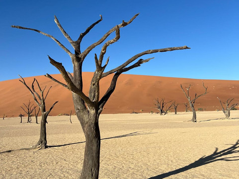 Deadvlei-苏丝斯黎必去景点