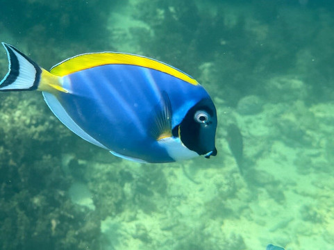 Sule Kenya Safari-瓦塔木必去景点