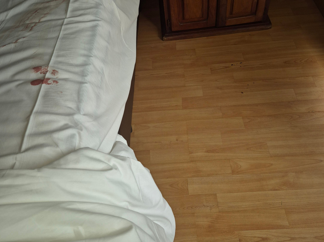 燕子酒店 - 限成人主图