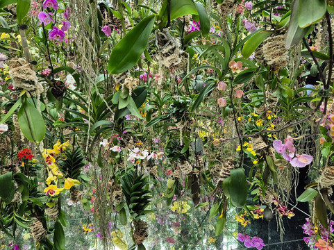 teamLab Planets TOKYO-Toyosu必去景点