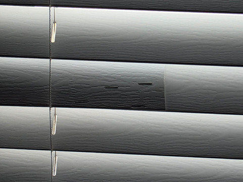 奥兰多西 - 克莱蒙特伍德斯普林套房主图