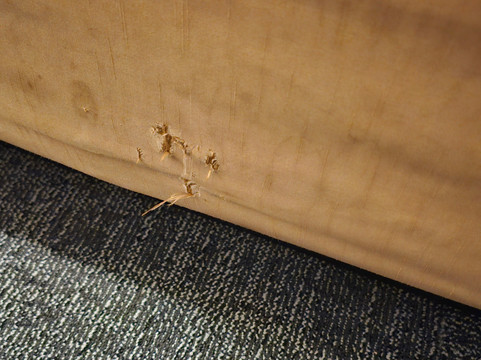 梅德福森特勒尔波因特拉昆塔温德姆套房酒店主图