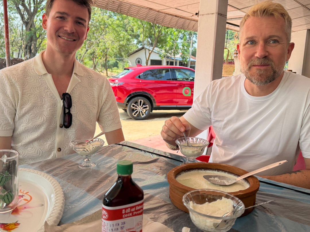 Sri Lankan Personal Drivers-科伦坡必去景点