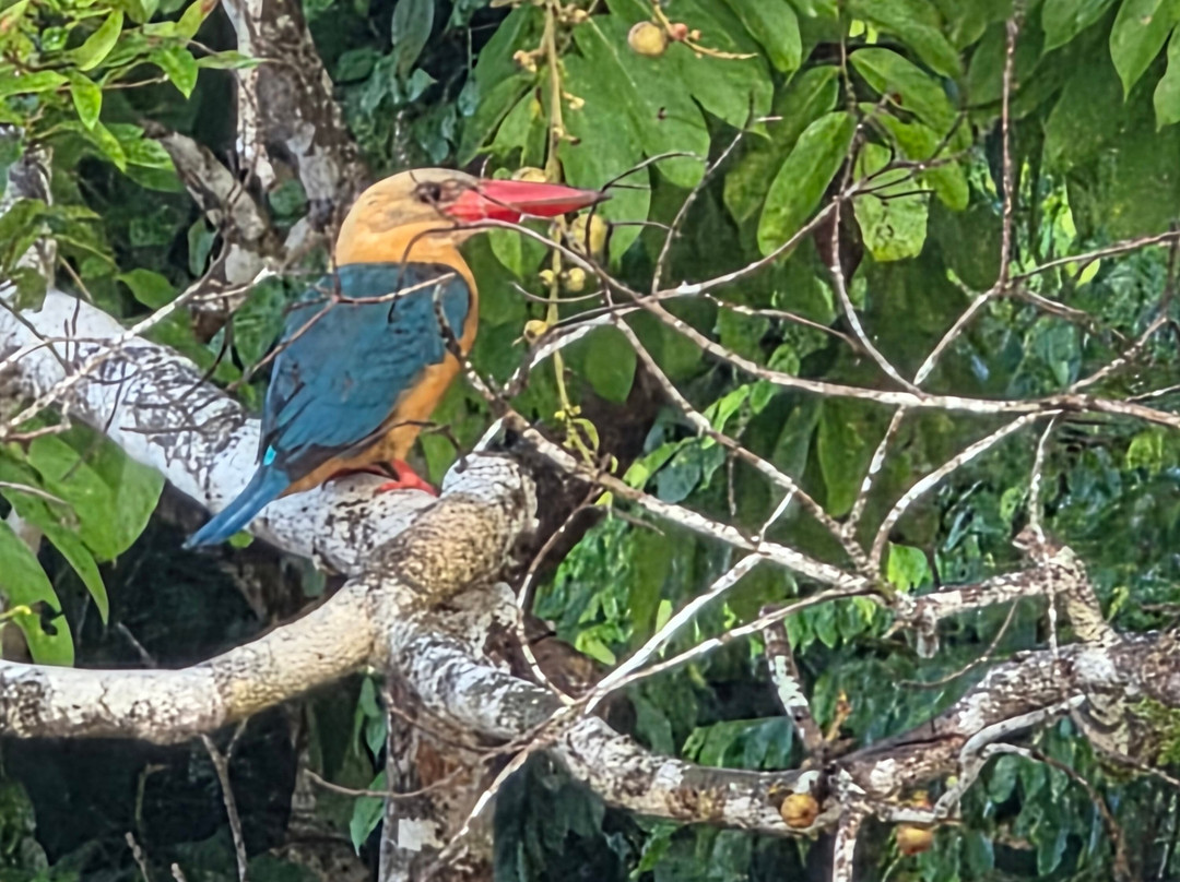 Osman's Homestay主图