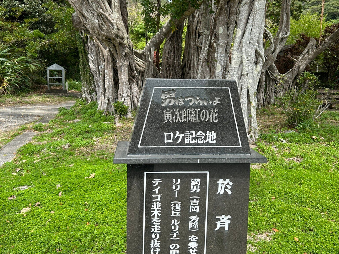 Osai no Gajumaru-濑户内町必去景点