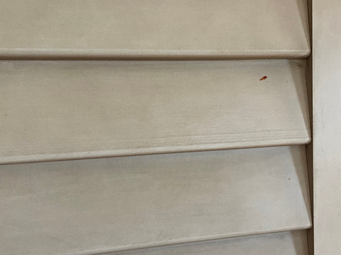 Maumee Bay Lodge And Conference Center主图