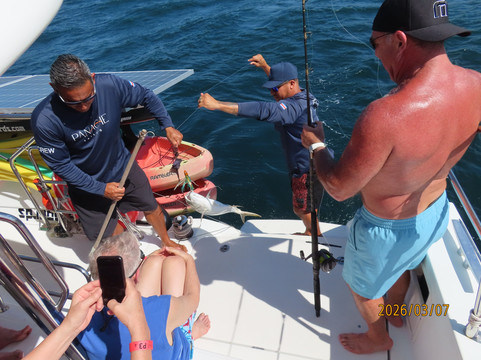 Panache Sailing-Playa Flamingo必去景点