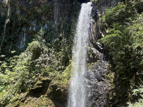 Rincon De La Vieja Volcano-Curubande必去景点