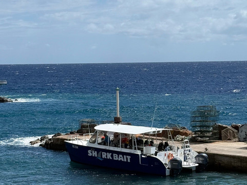 Sea Saba Dive Center-Windwardside必去景点