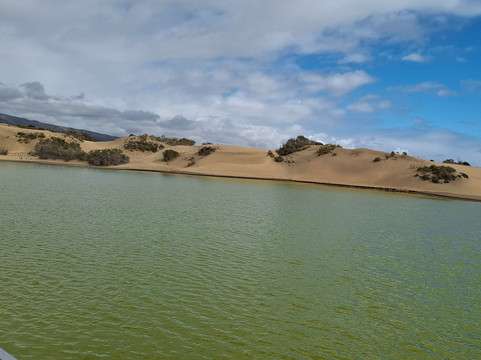 La Charca-马斯帕洛马斯必去景点