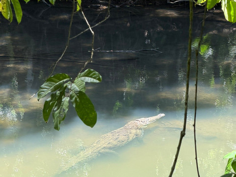 Sierpe Outfitters-Sierpe必去景点