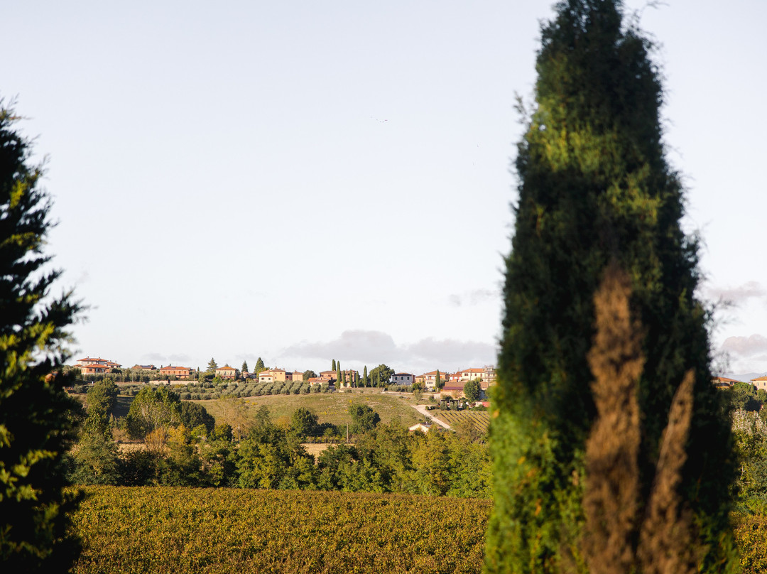 圣文森佐镇主图