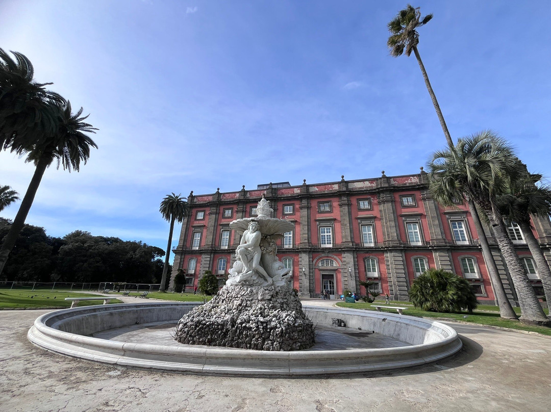 ionapolietu tour e visite guidate-那不勒斯必去景点